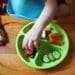 Encouraging Healthy Intake in Children with Autism